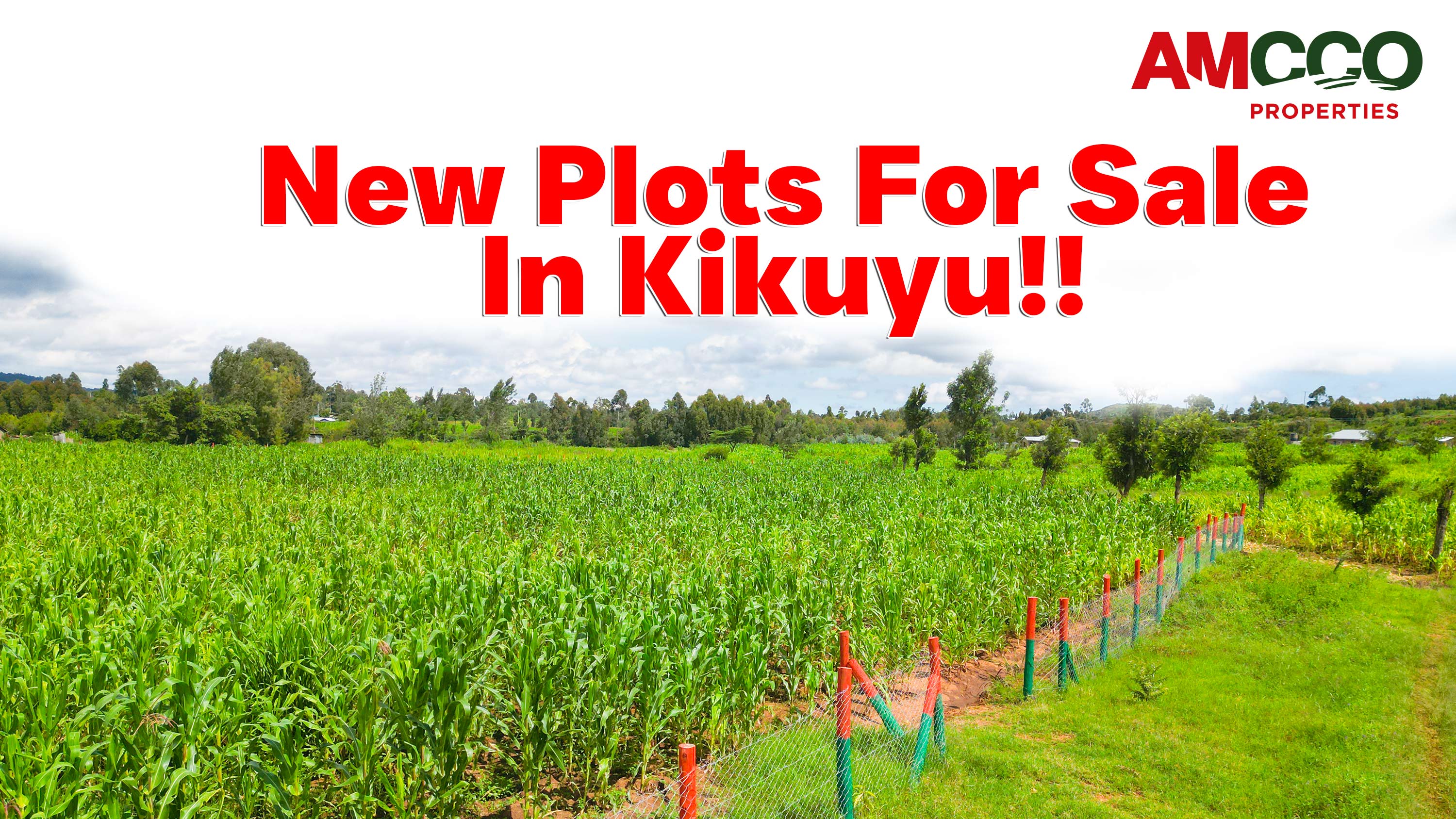 NEW AFFORDABLE PLOTS FOR SALE IN KIKUYU 2024